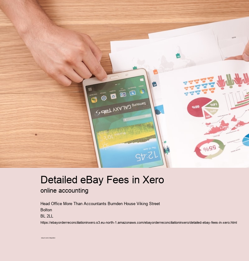 Detailed eBay Fees in Xero