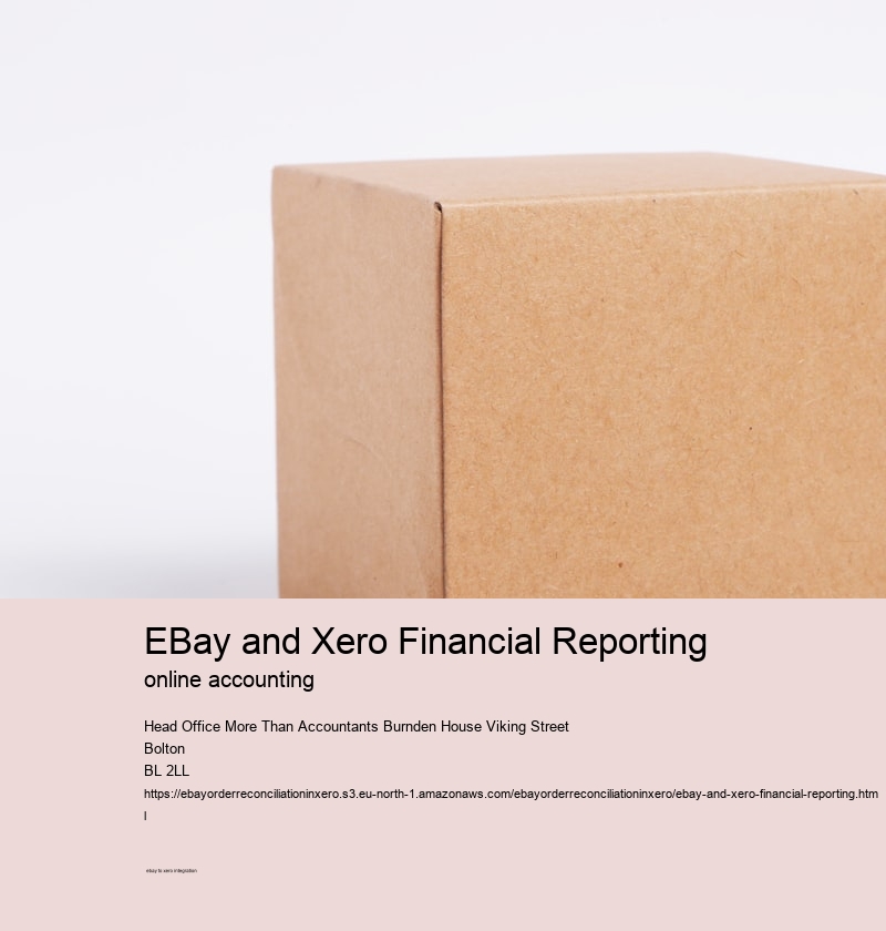 eBay and Xero Financial Reporting