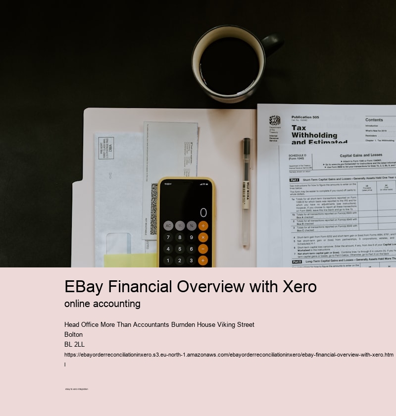 eBay Financial Overview with Xero